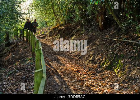 Gli escursionisti in inverno gettano ombre su un sentiero punteggiato di foglie nel bosco del Cheshire. Foto Stock