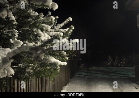 Di notte si apre una tranquilla scena invernale, con alberi ricoperti di neve lungo una recinzione di legno. Il vialetto si illumina delicatamente, creando un'atmosfera rilassante in t Foto Stock