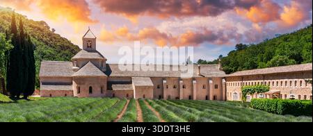 Abbazia romanica cistercense di Notre Dame di Senanque, situata tra campi di lavanda fioriti, vicino a Gordes, Provenza, Francia. Abbazia di Notre-Dame de Senan Foto Stock