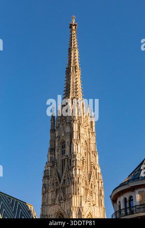 St. Stephens' la Cattedrale, Piazza Stephansplatz, Vienna, Austria. Foto Stock