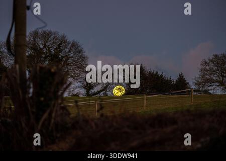 La luna piena di gennaio, nota come Luna di Lupo, sorge su un campo nel Devon, apparendo più grande e luminosa a causa della sua vicinanza alla Terra durante una superluna. L'evento era visibile in tutta la regione, poiché i cieli limpidi permettevano un'osservazione ininterrotta. Foto Stock