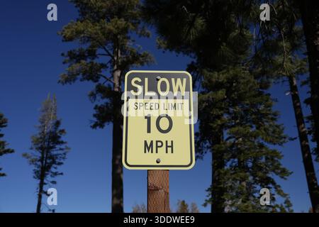 Il cartello giallo chiaro "SLOW - Speed limit 10 MPH" è montato su un palo di legno sullo sfondo di alti pini e di un cielo blu brillante. Foto Stock