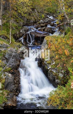 Cascate che corrono su rocce scure e muschiate tra il fogliame autunnale in un aspro paesaggio montano in Norvegia (Senja) Foto Stock