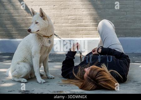 Città del Messico, Santa Maria la Ribera, giovane donna adulta, ispanico latino spagnolo, messicano, sdraiato sul marciapiede, rilassante riposo per il tempo libero, Foto Stock