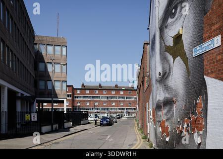 Il murale "Kintsugi" di Joe Caslin su Montague Lane, Dublino, commissionato dai Samaritans per evidenziare la resilienza alla salute mentale e la guarigione. Foto Stock