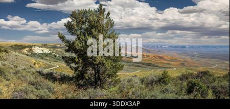 L'ampio paesaggio del Fossil Butte National Monument nel Wyoming sudoccidentale rivela i letti a strati del lago Eocene che un tempo formavano il fondo dell'antico Foto Stock