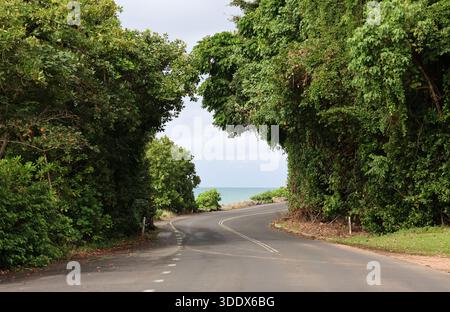 Strada che si snoda attraverso gli alberi della foresta pluviale che conduce verso l'oceano vicino a Bingil Bay nel Queensland, Australia Foto Stock