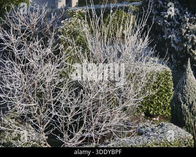 Bergamo, Italia. 4 gennaio 2026. Temperature artiche nel nord Italia, gelo e ghiaccio in questi primi giorni del 2026 nella Pianura Padana. Credito: Agenzia fotografica indipendente/Alamy Live News Foto Stock