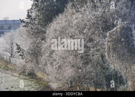 Bergamo, Italia. 4 gennaio 2026. Temperature artiche nel nord Italia, gelo e ghiaccio in questi primi giorni del 2026 nella Pianura Padana. Credito: Agenzia fotografica indipendente/Alamy Live News Foto Stock