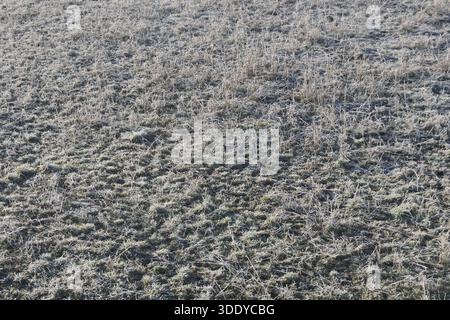Bergamo, Italia. 4 gennaio 2026. Temperature artiche nel nord Italia, gelo e ghiaccio in questi primi giorni del 2026 nella Pianura Padana. Credito: Agenzia fotografica indipendente/Alamy Live News Foto Stock