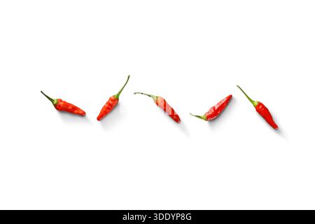 Cinque piccoli peperoncini rossi allineati su sfondo bianco Foto Stock
