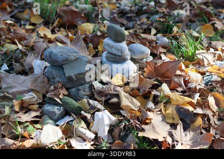 cairns rocciosi bilanciati circondati da foglie gialle e marroni cadute in un ambiente naturale all'aperto Foto Stock