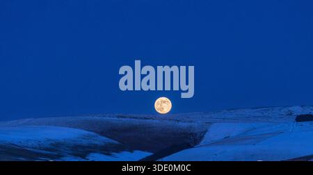 La Luna di Lupo dei primi di gennaio che sorge sulle colline innevate della foresta di Radnor sopra Llandegley (vicino a Builth Wells, Powys, Galles centrale, Regno Unito) Foto Stock