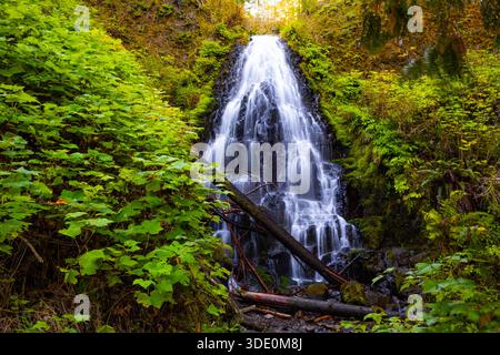 Una vista magica e pittoresca delle Fairy Falls, una delicata cascata simile a un velo che scende graziosamente su una scogliera coperta di muschio all'interno del lussureggiante Co Foto Stock
