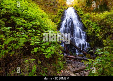 Una vista magica e pittoresca delle Fairy Falls, una delicata cascata simile a un velo che scende graziosamente su una scogliera coperta di muschio all'interno del lussureggiante Co Foto Stock