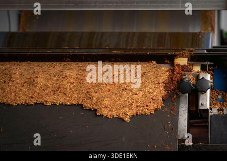 Mele tritate che formano una polpa spessa durante il processo di pressatura del sidro in un tradizionale impianto di produzione di succo di mela o Calvados. Vinaccia di mele. Foto Stock