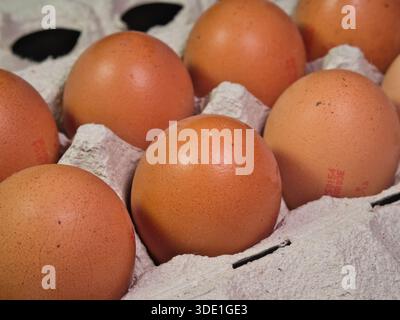 Primo piano: Macro di uova di Brown fresche in cartone; Macro shot di uova di pollo marrone biologico accoccolato in un cartone di carta riciclata grigia, sottolineando l'effetto tex Foto Stock