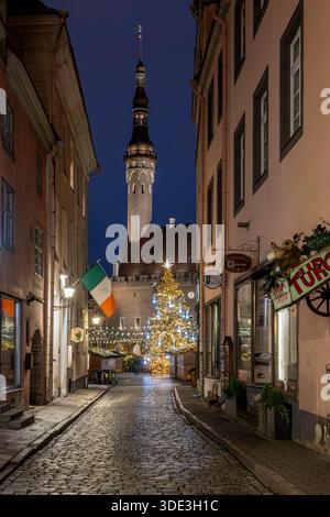 Strada nella città vecchia con il municipio sullo sfondo, Tallinn, Harju, Estonia Foto Stock