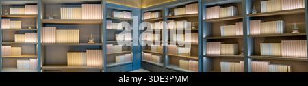 una libreria minimalista con quattro ripiani in legno, ognuno contenente libri ordinati, allineati verticalmente, rosa pastello e beige. Gli scaffali sono malati Foto Stock