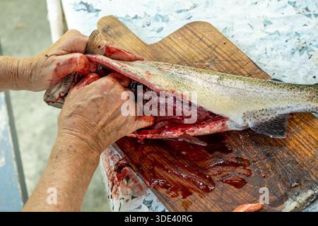Una fotografia ravvicinata mostra una persona anziana che esegue la decalcificazione di un pesce appena pescato su un tagliere di legno con sfondo rustico e resistente agli agenti atmosferici Foto Stock