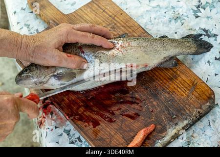 Una fotografia ravvicinata mostra una persona anziana che esegue la decalcificazione di un pesce appena pescato su un tagliere di legno con sfondo rustico e resistente agli agenti atmosferici Foto Stock