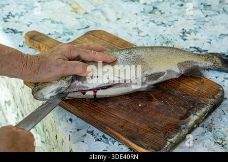 Una fotografia ravvicinata mostra una persona anziana che esegue la decalcificazione di un pesce appena pescato su un tagliere di legno con sfondo rustico e resistente agli agenti atmosferici Foto Stock