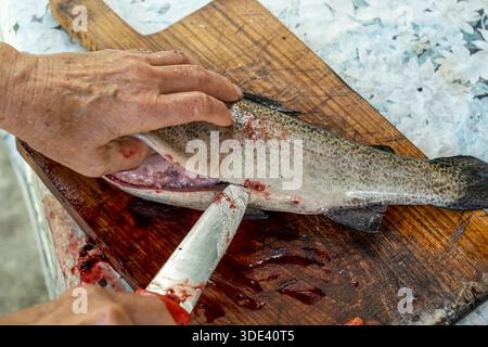 Una fotografia ravvicinata mostra una persona anziana che esegue la decalcificazione di un pesce appena pescato su un tagliere di legno con sfondo rustico e resistente agli agenti atmosferici Foto Stock