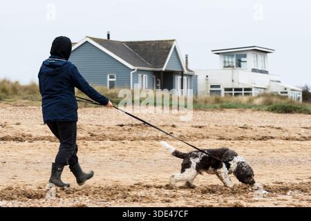 Un cane viene portato a fare una passeggiata lungo la spiaggia di Snettisham tra Natale 2025 e Capodanno. Foto Stock
