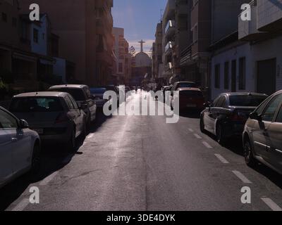 Un piccolo cane seduto sulla strada dove le auto sono parcheggiate su entrambi i lati Foto Stock