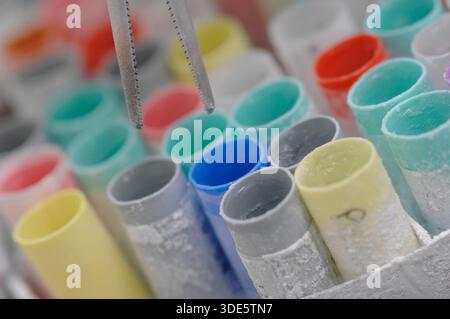 Spermatozoi ed embrioni congelati da utilizzare nella fecondazione in vitro Foto Stock