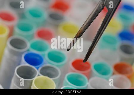 Spermatozoi ed embrioni congelati da utilizzare nella fecondazione in vitro Foto Stock