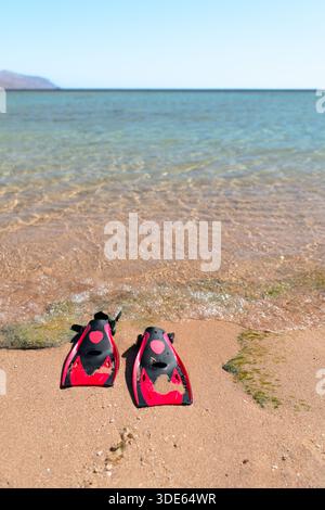 Un paio di pinne scuba rosse e nere poggiate sulla sabbia bagnata sul bordo dell'acqua in una giornata di sole. Foto Stock