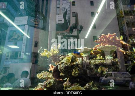Tokyo, Giappone - 31 luglio 2025: La strada si riflette su un acquario Foto Stock