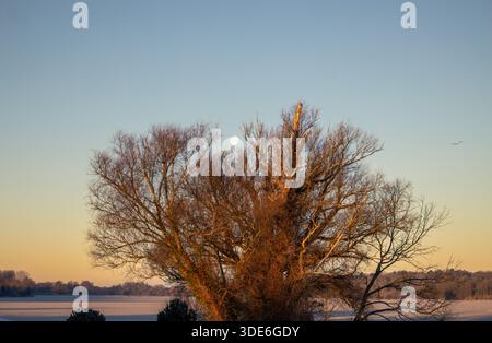 Full Moon ambientato a St Ives, Cambridgeshire, Regno Unito Foto Stock