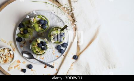 Salutari vasetti vegani per la colazione con strati di budino di chia conditi con fette di kiwi fresche, mirtilli e fiocchi di cocco su una linguetta bianca minimalista Foto Stock
