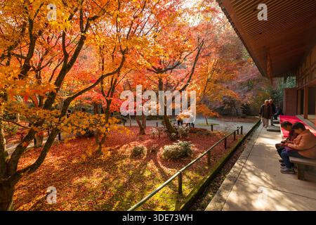 Il tempio di Enkōji a Kyoto presenta un vivace fogliame autunnale, che attira i visitatori a testimoniare la trasformazione stagionale. I giardini del tempio sono rivestiti di moquette Foto Stock