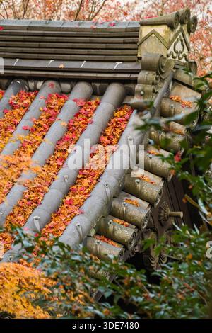 Il tempio di Enkōji a Kyoto mostra una vivace esposizione di fogliame autunnale che copre il tetto piastrellato di una tradizionale struttura buddista. Foto Stock