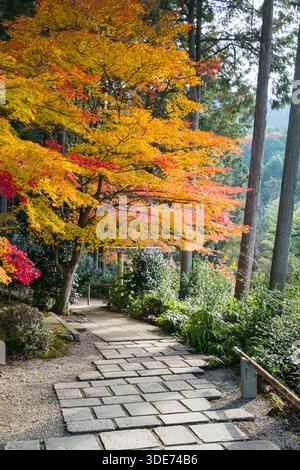 Un sentiero in pietra si snoda attraverso le montagne boscose sopra il tempio di Enkōji a Kyoto, in Giappone. La scena mostra un vivace fogliame autunnale, con un'importante immagine Foto Stock
