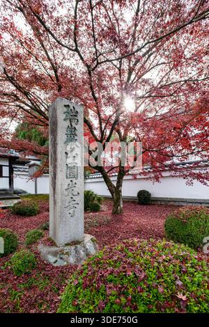 Il tempio di Enkōji a Kyoto presenta un vivace fogliame autunnale, che attira i visitatori a testimoniare il cambiamento stagionale. I giardini del tempio presentano un monumento in pietra Foto Stock