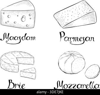 Collezione di formaggi, brie, camember, parmigiano e formaggio blu, assortimento di formaggi europei, fette, disegno inciso a inchiostro nero, isolato, trasparente Illustrazione Vettoriale