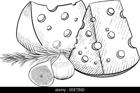 Collezione di formaggi, brie, camember, parmigiano e formaggio blu, assortimento di formaggi europei, fette, disegno inciso a inchiostro nero, isolato, trasparente Illustrazione Vettoriale