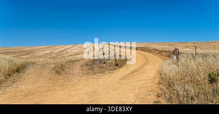 Paesaggio con strada sterrata tra campi di stoppia di grano, girato alla luce della tarda primavera nel comune di Threewaterskloof, Western Cape, South A. Foto Stock