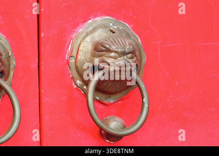 Un bucchino in bronzo con testa di leone morde un anello circolare su una porta rossa luminosa del tempio al cimitero Teochew di Bangkok. Decorazioni tradizionali cinesi delle porte Foto Stock