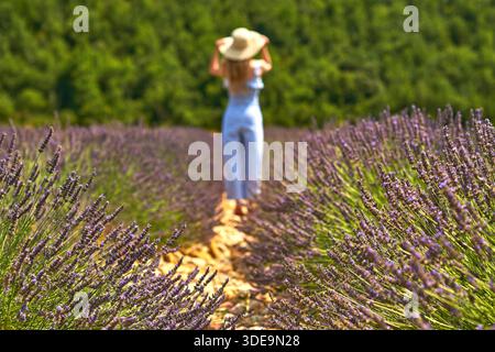 Una donna vestita di blu chiaro si trova in un campo di lavanda, godendo la bellezza della natura, con vivaci fiori viola intorno a lei Foto Stock