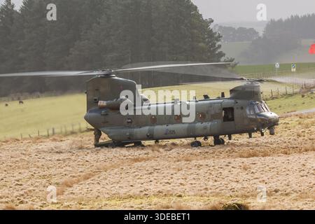 RAF CH-47 Chinooks sugli esercizi di addestramento nel Galles centrale Foto Stock