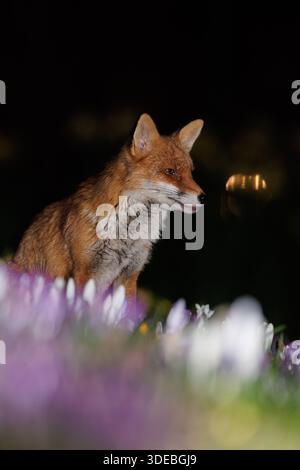 La città volge attraverso la primavera Foto Stock