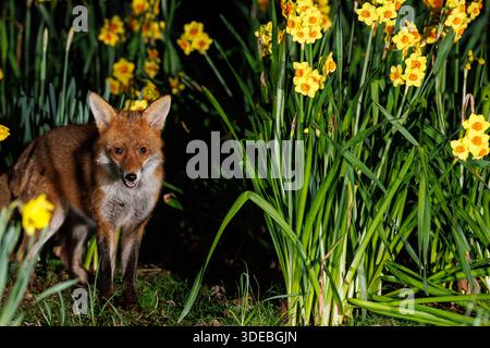 La città volge attraverso la primavera Foto Stock