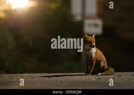 La città volge attraverso la primavera Foto Stock