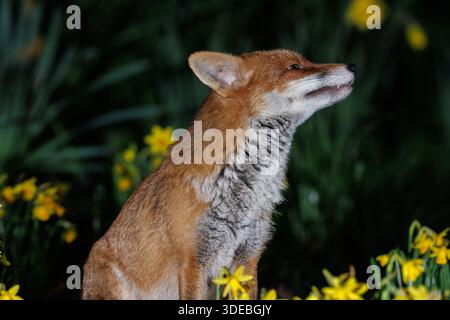 La città volge attraverso la primavera Foto Stock