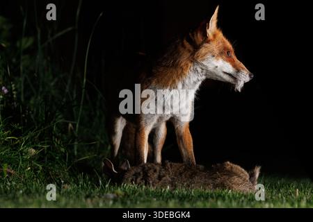 La città volge attraverso la primavera Foto Stock